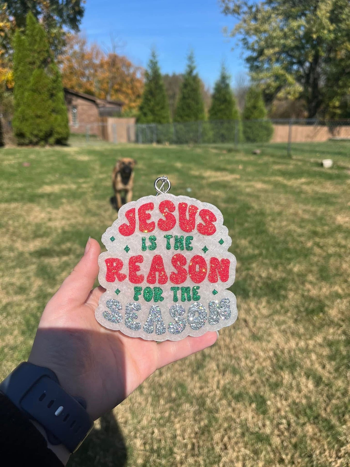 Jesus is the reason for the season