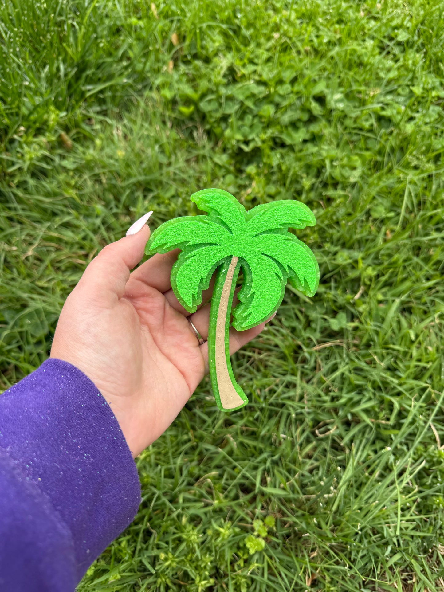 Palm Tree