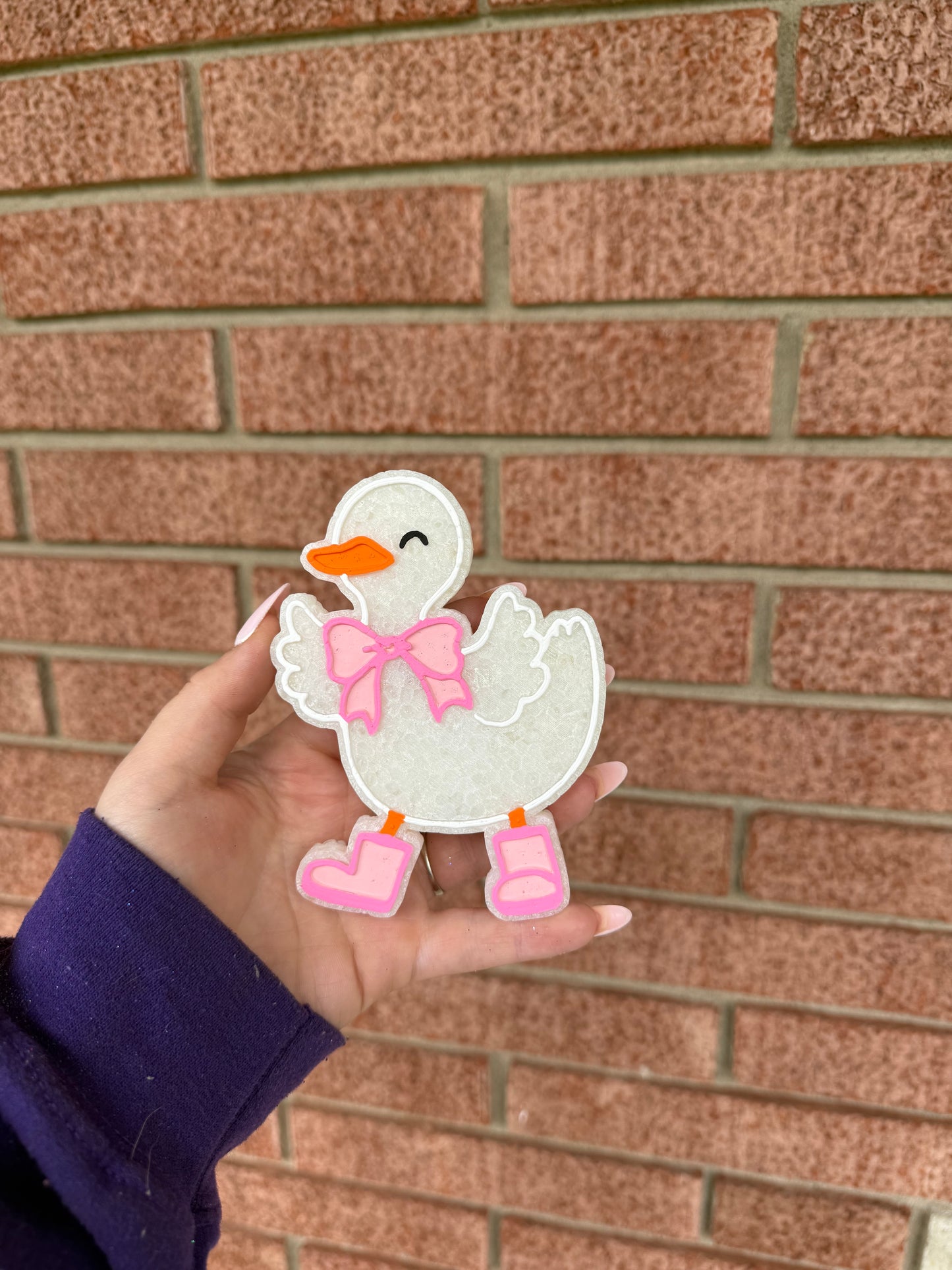 Silly Goose